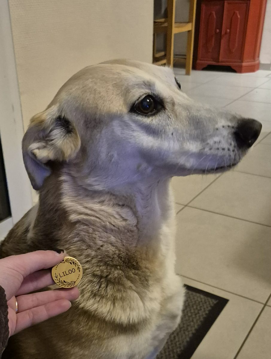 Lilou