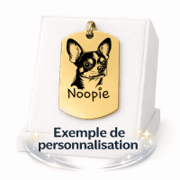 Médaille Militaire Personnalisée - Gravure Laser - Or - 48x27mm