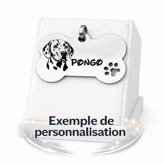 Médaille chien personnalisée os patoune XL – Argenté – 29x50mm